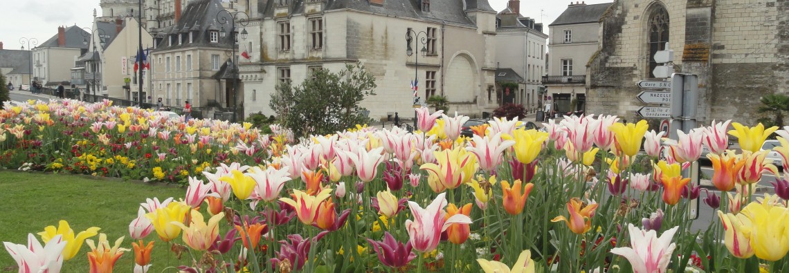 The city of Amboise