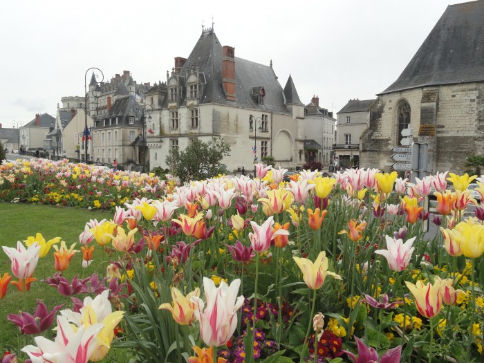 The city of Amboise